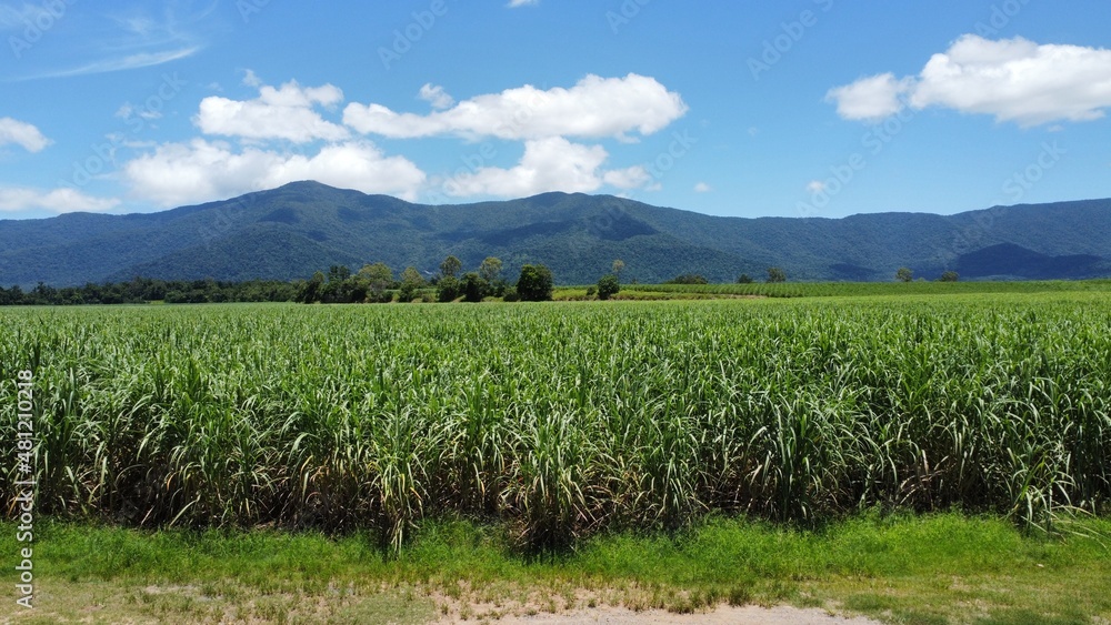 Obraz premium Beautiful Aerial shot of farming fields with mountain backdrop