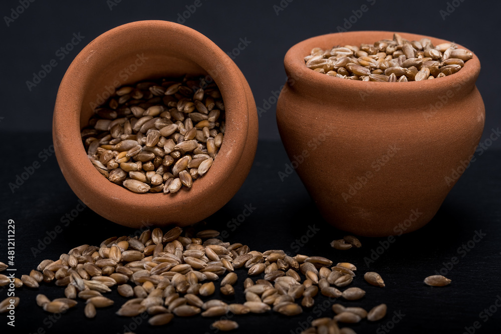 Emmer wheat or hulled wheat in the pots Emmer wheat or hulled wheat in the pots