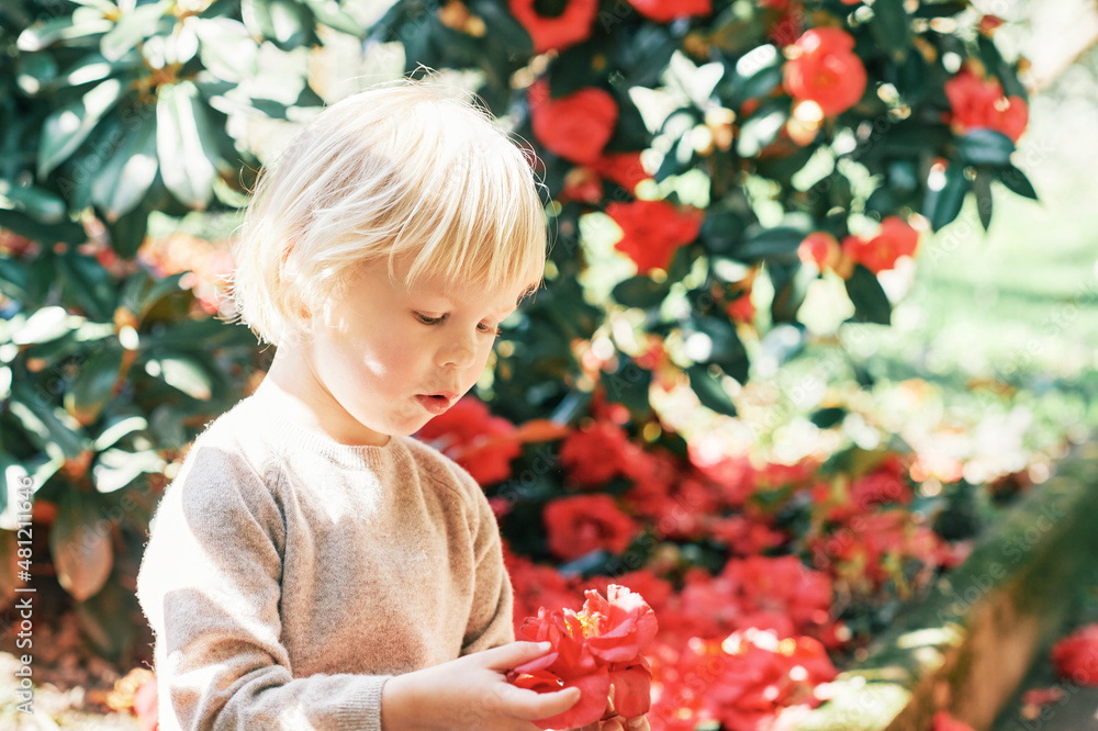 Outdoor portrait of sweet child playing with red camellia flower