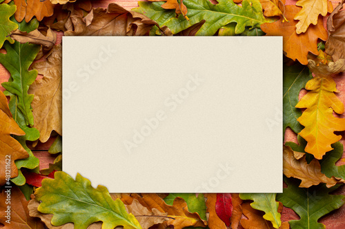 Frame of yellow autumn leaves with a beige field for text or congratulations, copy space, flat lay.
