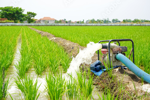 Irrigation of rice fields using pump wells with the technique of pumping water from the ground to flow into the rice fields. The pumping station where water is pumped from a irrigation canal. photo