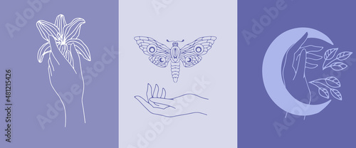 A set of vertical layouts in A4 format in very peri color.