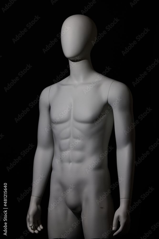 Fototapeta premium Mannequin 