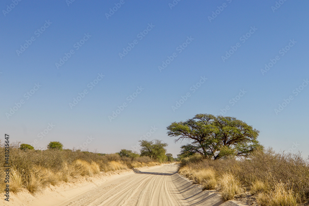 Dirt Road in the Kgalagadi Dirt Road in the Kgalagadi