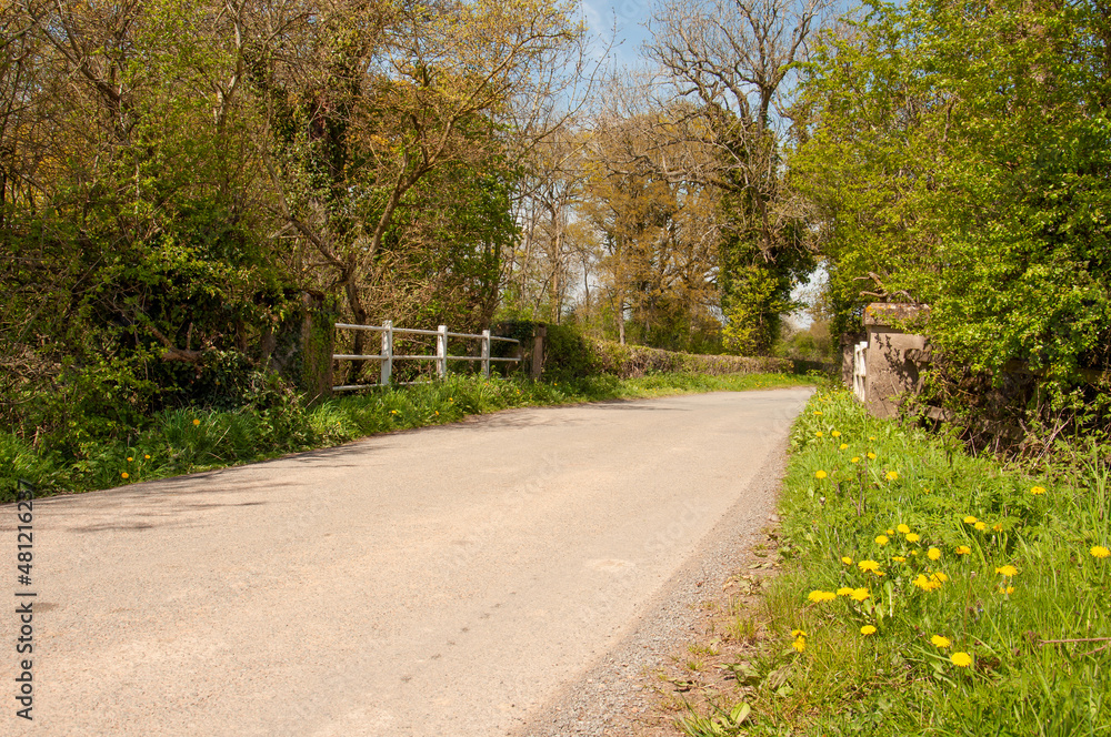 Springtime countryside road in the UK.