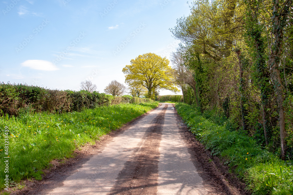 Springtime countryside road in the UK.
