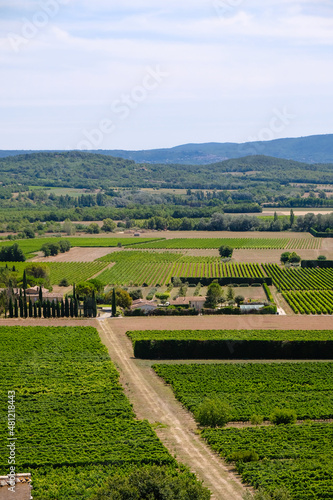Vineyards near the Joucas, Provence, France on a sunny summer day. Wine tourism. Vertical image. 