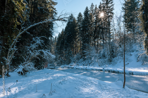 Winterwald mit einem gefrorenem Bach im Allgäu. Durch die verschneiten Bäume scheint die Sonne.