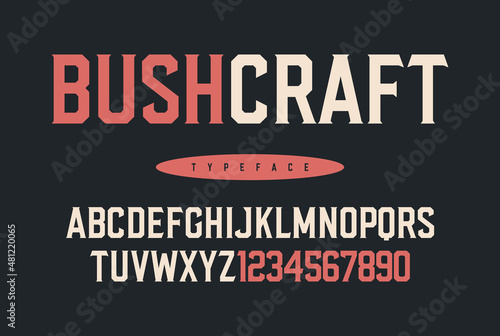 Bushcraft. Display Font. Retro Typeface. Vector Illustration	
