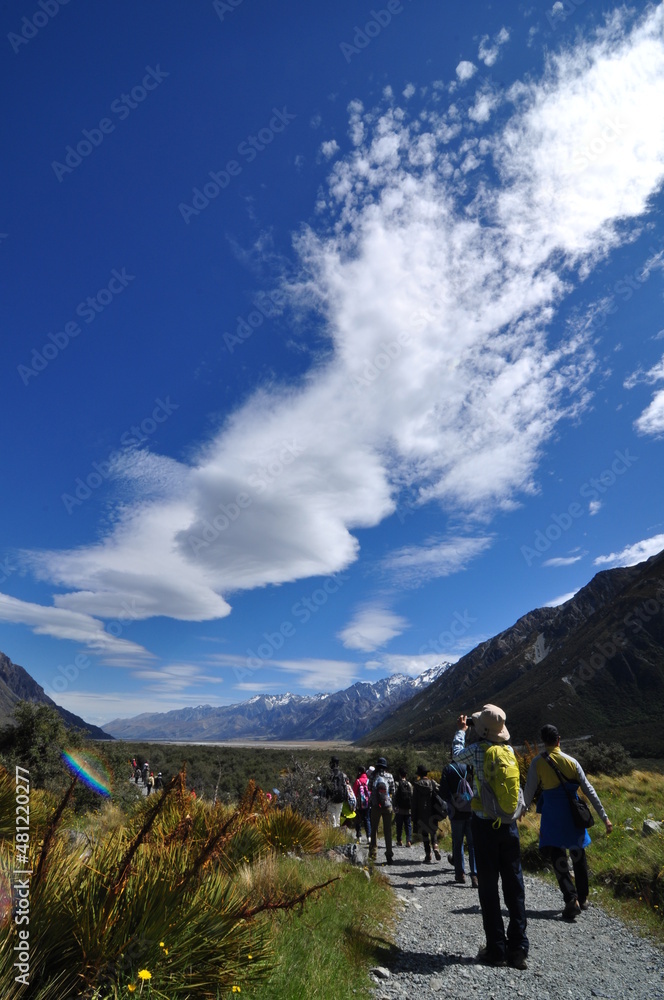 Trekking and walking in New Zealand