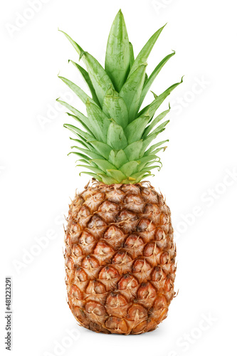 Pineapple isolated on white background. Clipping path