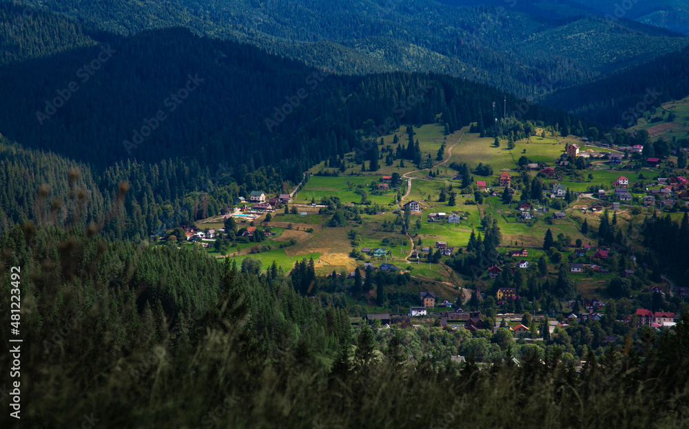 Mountain panoramic landscape with trees and a village on a sunny summer day. Carpathians.