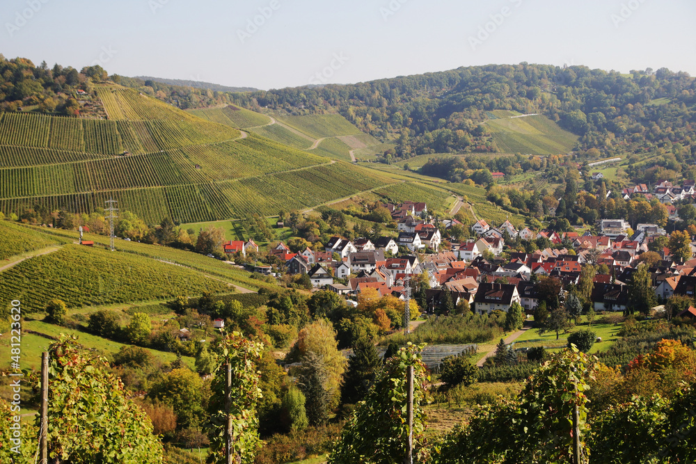 Rural panorama in Stuttgart region. Germany