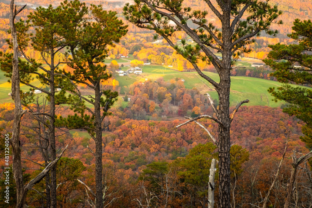 Autumn view through the pines from Little Pinnacle at Pilot Mountain State Park in Pinnacle, NC. Autumn view through the pines from Little Pinnacle at Pilot Mountain State Park in Pinnacle, NC.