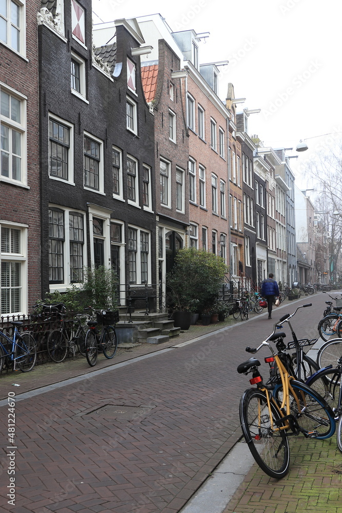 Amsterdam Street View with Traditional Houses, Bicycles and Walking Man, Netherlands