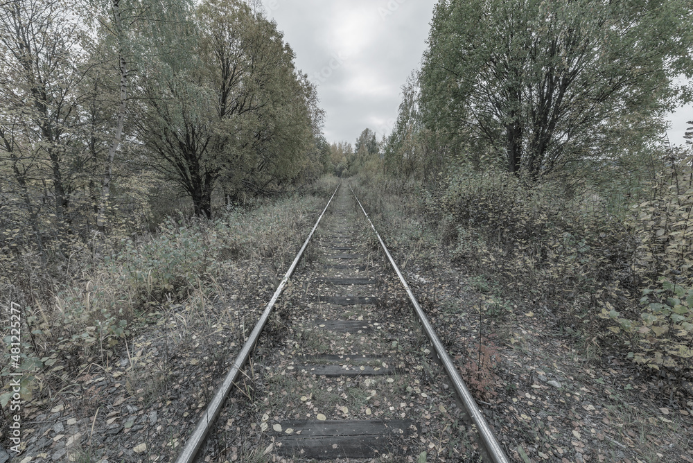 Old railway line at autumn day.