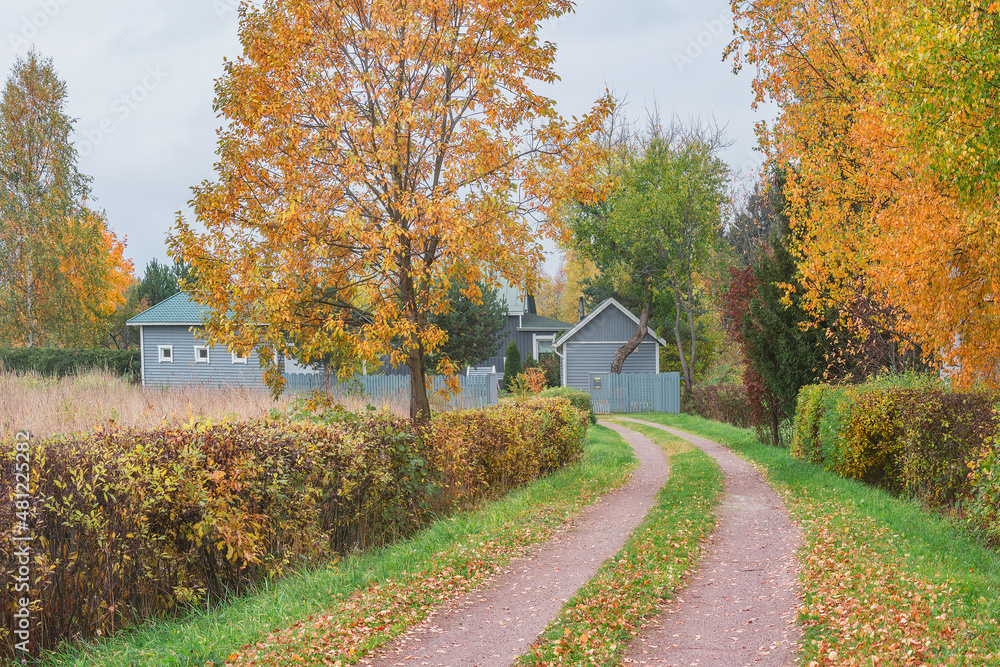 Road to the village at autumn day.