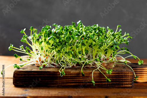 Sprouted radish microgreens on a wooden cutting board. Healthy salad greens