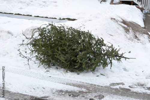 Abandoned Evergreen