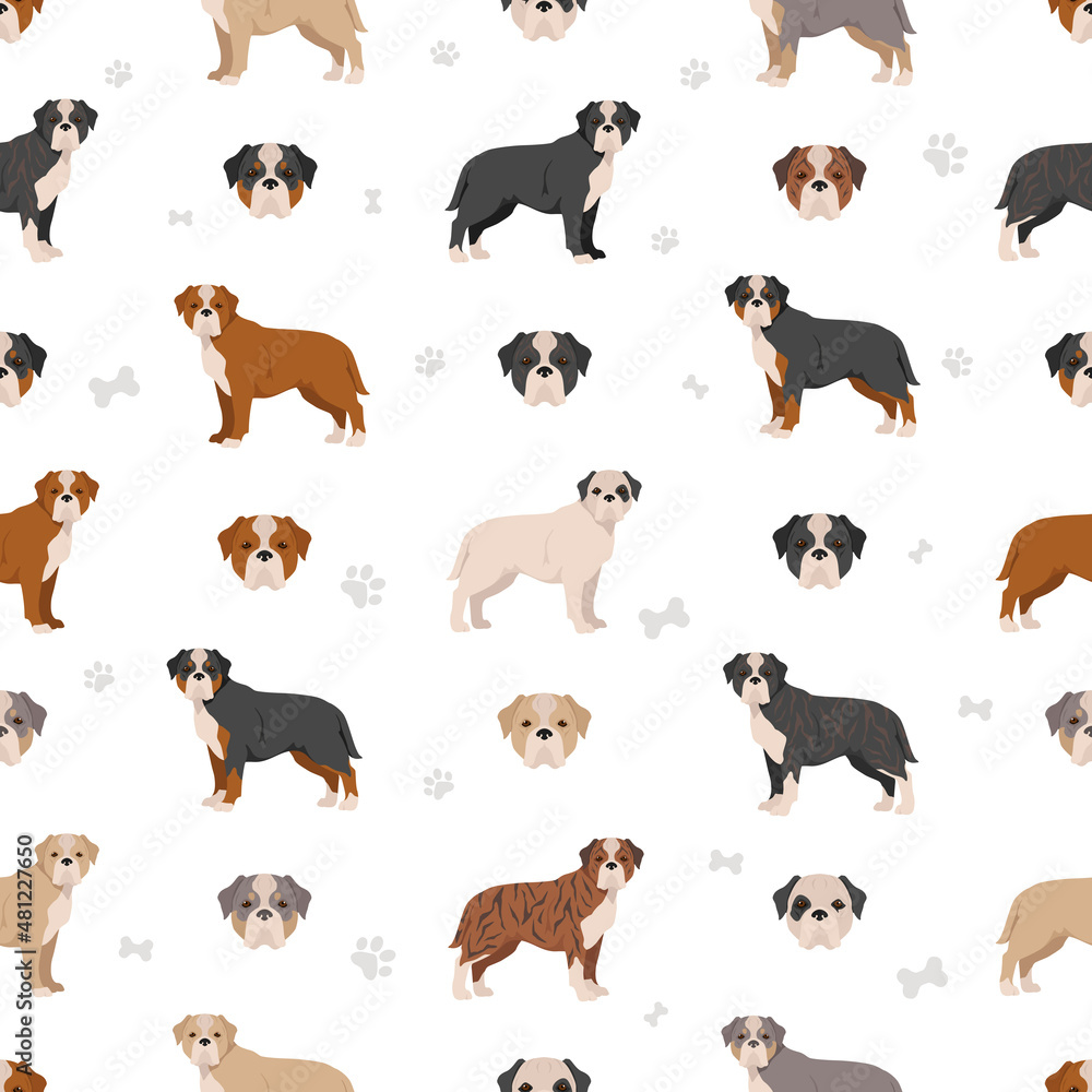 Olde English Bulldogge, Leavitt Bulldog  seamless pattern. Different poses, coat colors set