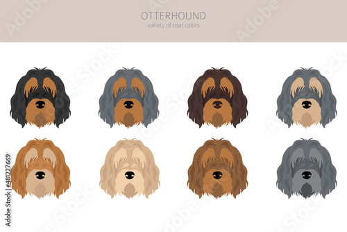 Otterhound clipart. Different poses, coat colors set
