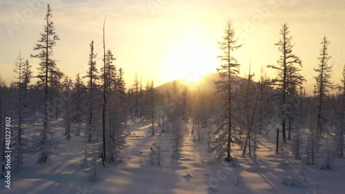 aerial view winter frost Siberia forest winter road