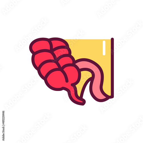 Human organ appendix line icon. Isolated vector element.