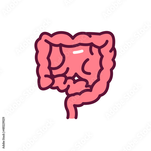 Human organ intestines line icon. Isolated vector element.