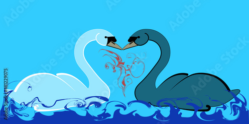 Weißer und schwarzer Schwan formen ein Herz, Liebe Valentinstag Hochzeit, Vektor