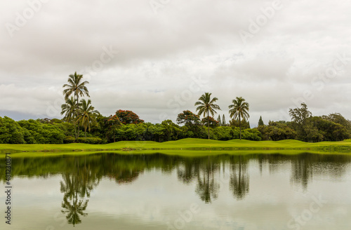 Scenic view of a pond with reflections in Nawiliwili town on Kauai Island, Hawaii