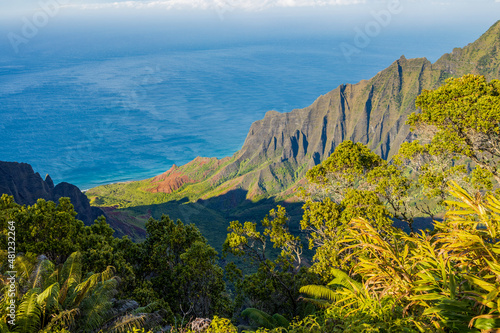 View of Na Pali Coast from the Kalalau Lookout at Kokee State Park on Kauai Island  Hawaii
