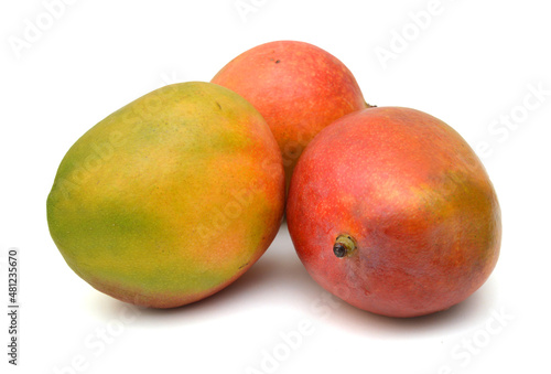 Mango fruits isolated on white background