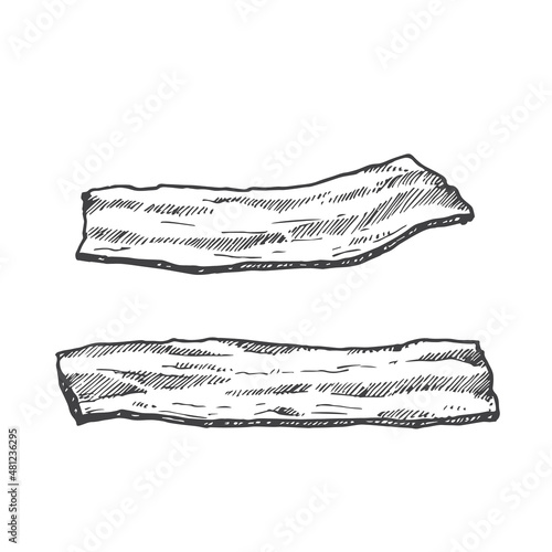 Bacon Pieces. Hand Drawn Sketch Pork Meat Vector Illustration. Natural Food Doodle Isolated