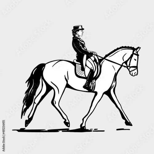 Vector Illustration of Horse and Its Rider While Dressage.