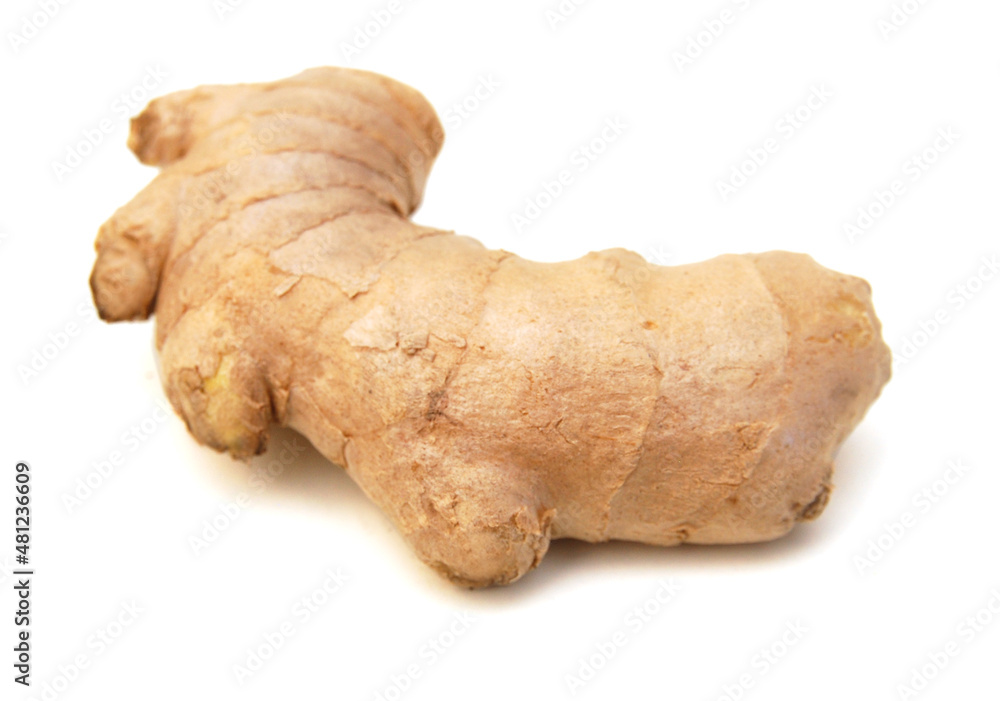 Fresh ginger root or rhizome isolated on white background cutout