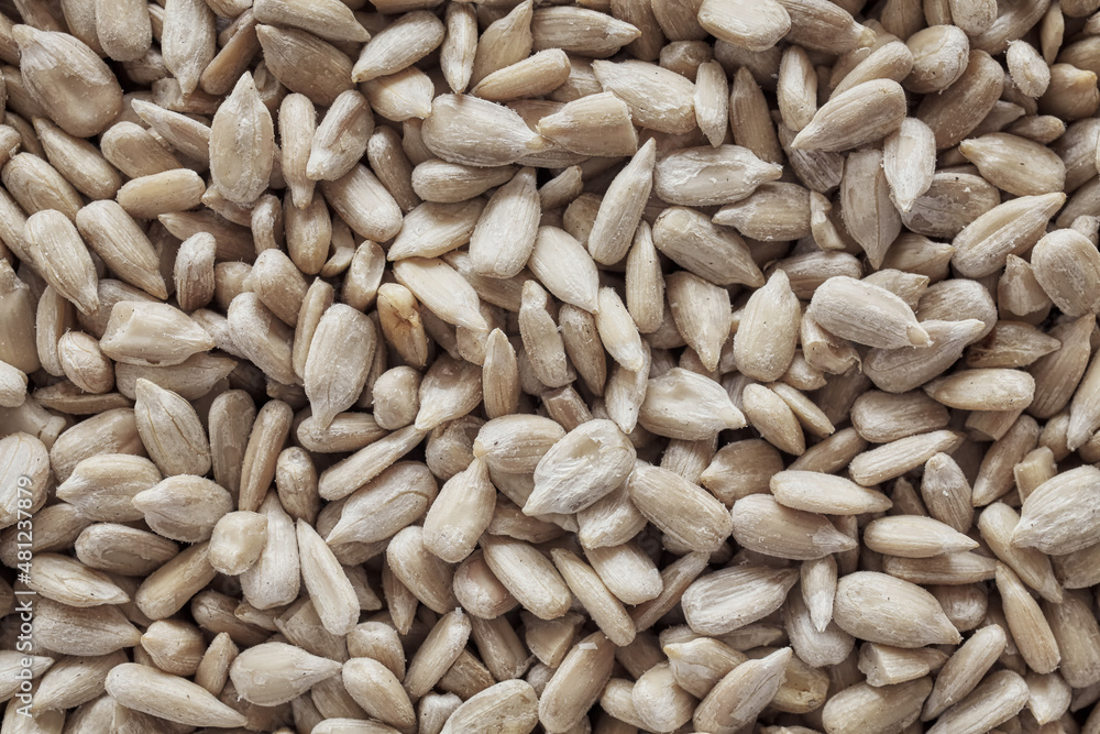 Close up picture of raw sunflower seed kernels, selective focus. Close up picture of raw sunflower seed kernels, selective focus.
