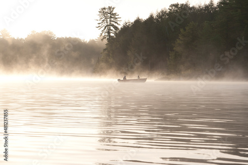 Early morning fisherman in a boat on a misty lake with evergreen trees in the background © dnurgitz