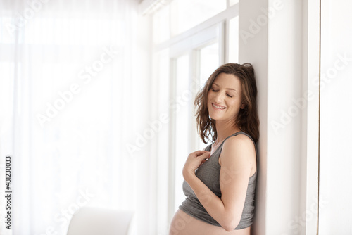 Beautiful mother-to-be. Cropped shot of a young pregnant woman standing in her home.