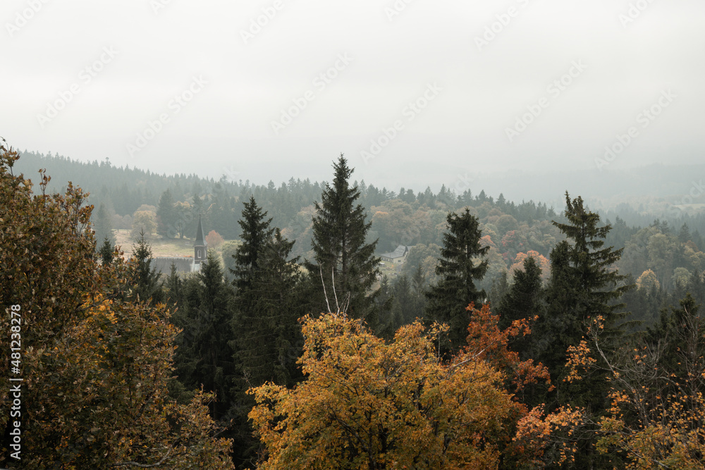 View on the trees and hills at autumn from Vitkuv castle, Sumava mountains, Czech republic