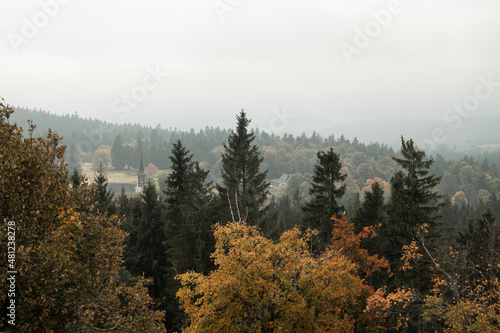 View on the trees and hills at autumn from Vitkuv castle, Sumava mountains, Czech republic