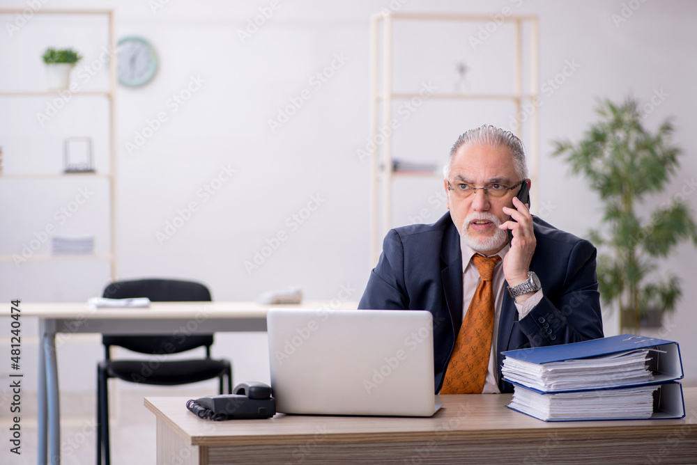 Aged male employee working in the office Aged male employee working in the office