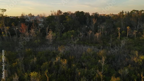 Beautiful sunset in Celebration, a town located in Osceola County near Orlando, FL photo