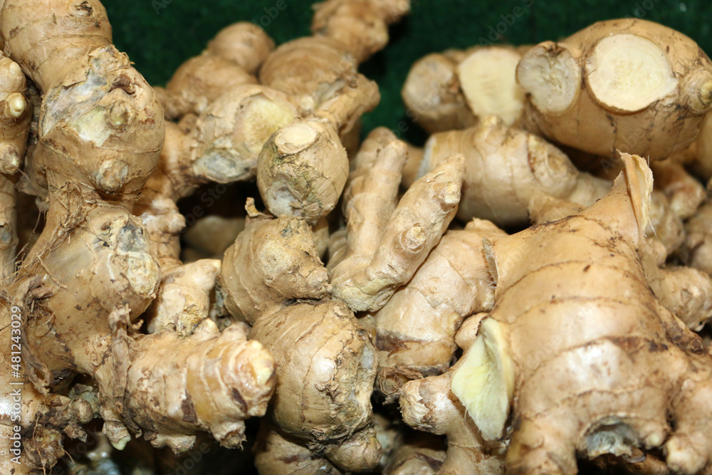 ginger root ginger root