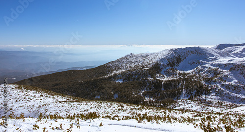 Stunning mountain hill in Bulgaria. Covered with white snow mountain top. Trees are covered under it. Blue skies above. High quality photo