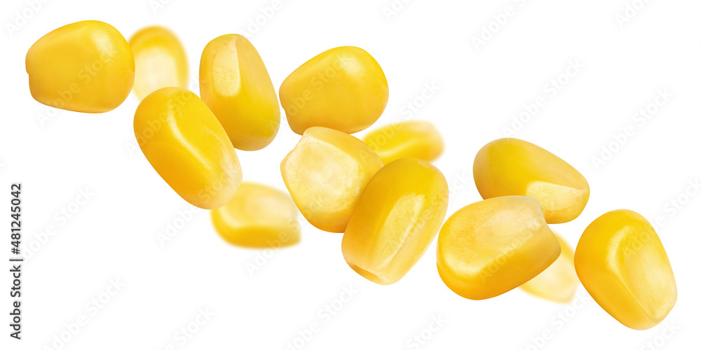 Flying delicious corn seeds, isolated on white background Flying delicious corn seeds, isolated on white background