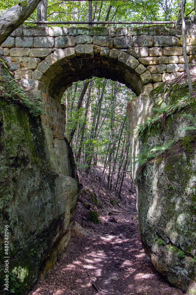 Fototapeta premium Old stone bridge over a rocky gap in the forest