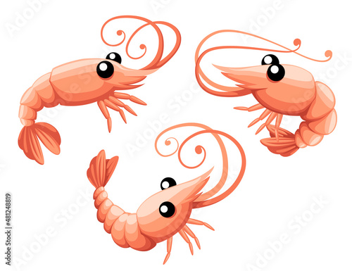 Cute shrimp. Cartoon animal character design. Swimming crustaceans. Flat vector illustration isolated on white background.