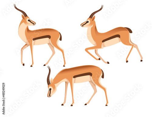 Set of African wild black-tailed gazelle with long horns head looks back cartoon animal design flat vector illustration on white background side view antelope