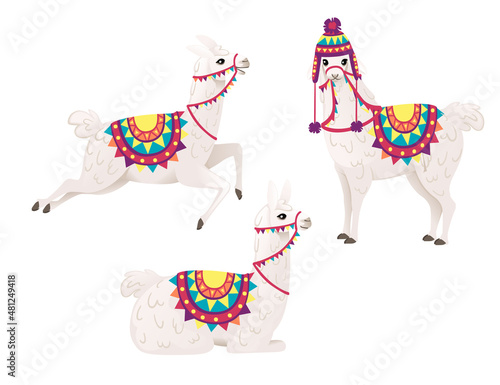 Set of cute llama wearing decorative saddle and hat with patterns cartoon animal design flat vector illustration isolated on white background side view