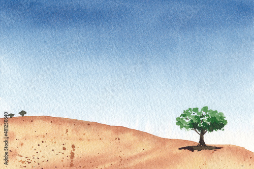 tree in the sand